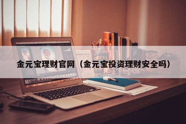 金元宝理财官网(金元宝投资理财安全吗)
