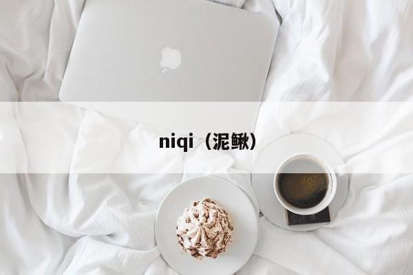 niqi(泥鳅)