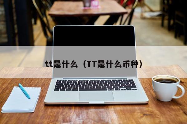 tt是什么(TT是什么币种)