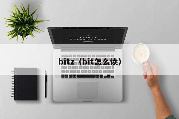 bitz(bit怎么读)