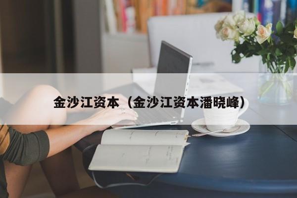 金沙江资本(金沙江资本潘晓峰)
