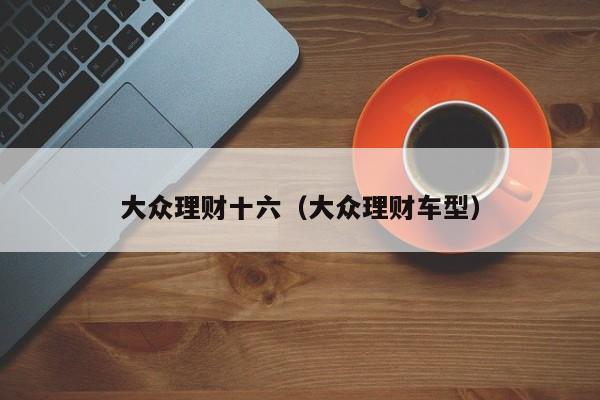 大众理财十六(大众理财车型)