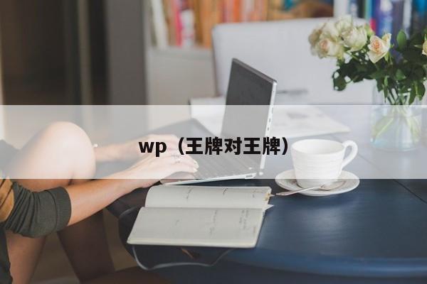 wp(王牌对王牌)