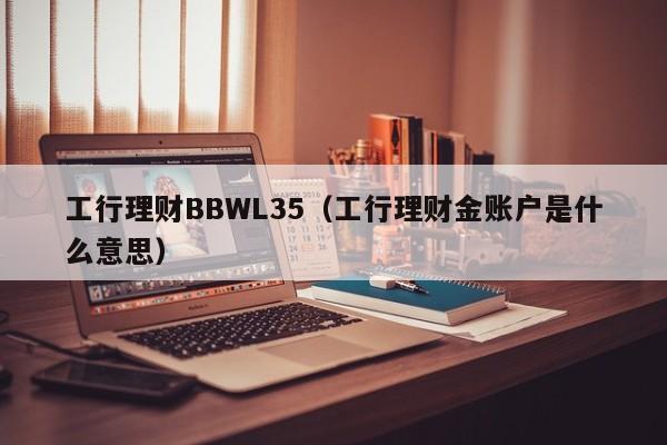 工行理财BBWL35(工行理财金账户是什么意思)