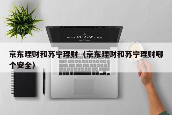 京东理财和苏宁理财(京东理财和苏宁理财哪个安全)