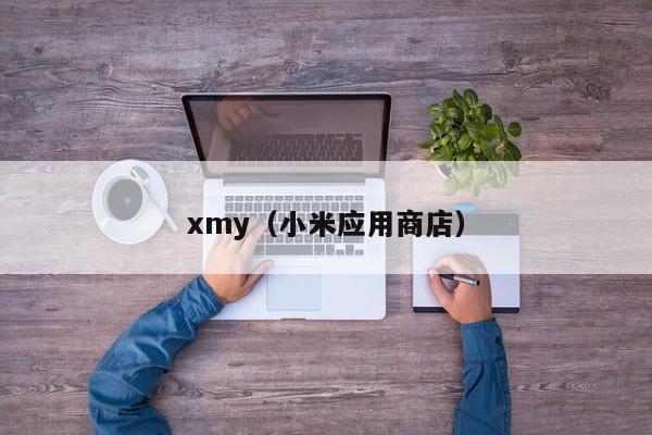 xmy(小米应用商店)
